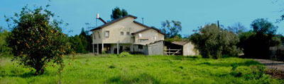 Agricultural Farm in Central Israel