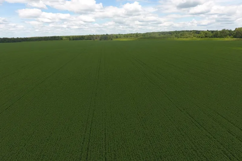 1,341 Acres Row Crop Seek Investor