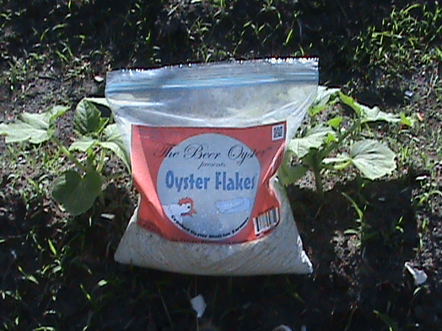 Oyster Flakes For Farms