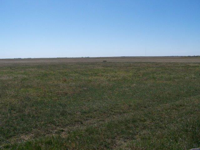 Colorado Farm