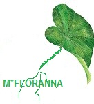 M*FLORANNA ﻿﻿The Miracle Nutrient for your Soil and Crops