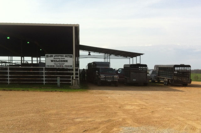 Mo-Ark Livestock Auction