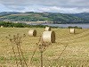Large Round Bales of Hay