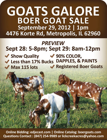 Boer Goat Sale