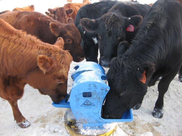 Energy Free Livestock Watering Solution 