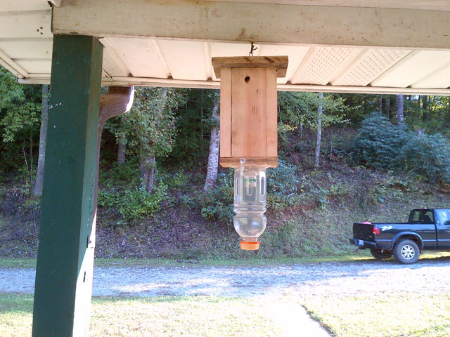 Carpenter Bee Traps